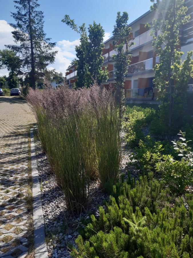 Sea Power Residence Jastrzębia Góra Eksteriør bilde